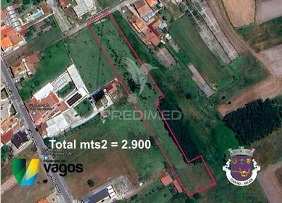 /international/pt/calvao-vagos-aveiro-120090583068/