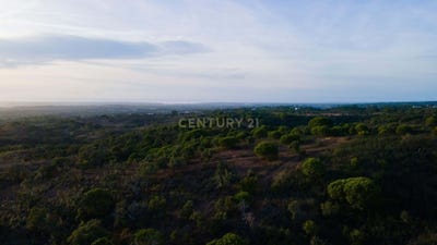 /international/pt/santiago-do-cacem-portugal-santiago-do-cacem-setubal-municipality-310108368221/