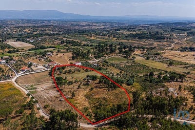 /international/pt/viseu-viseu-310101440770/?lang=it