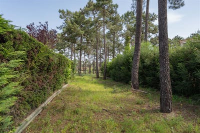 /international/pt/charneca-de-caparica-setubal-municipality-310102609053/