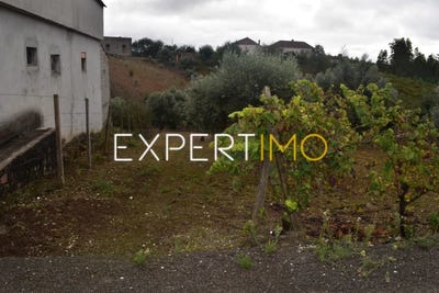 /international/pt/leiria-leiria-310108418932/
