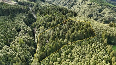 /international/pt/lomba-da-fazenda-ilha-de-sao-miguel-azores-310108589986/