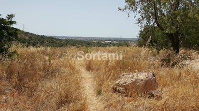 /international/pt/silves-faro-310107217086/