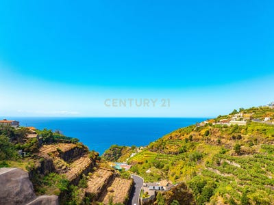 /international/pt/ilha-da-madeira-madeira-120092971983/