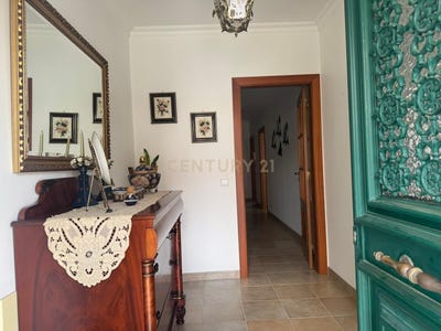 /international/pt/r-padre-manuel-antunes-messias-141-minde-santarem-310108086202/