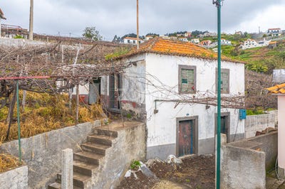 /international/pt/camara-de-lobos-madeira-310098536190/
