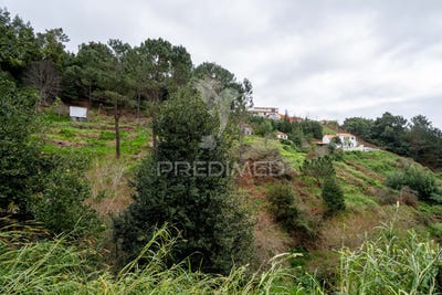 /international/pt/santo-antonio-da-serra-santa-cruz-madeira-310097951568/