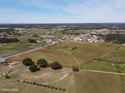 /international/pt/grandola-e-santa-margarida-da-serra-setubal-municipality-310097460298/
