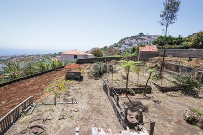 /international/pt/funchal-madeira-120078133677/