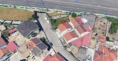 /international/pt/milheiros-santarem-310100827713/