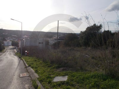 /international/pt/torres-novas-sao-pedro-santarem-310099591425/