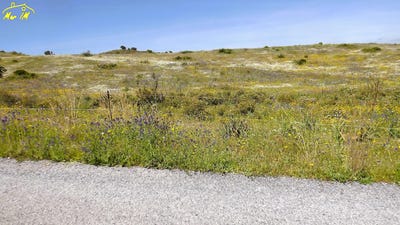 /international/pt/castro-marim-faro-310105820120/