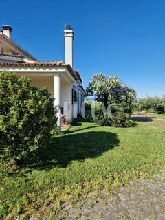 /international/pt/pero-viseu-castelo-branco-310106235061/