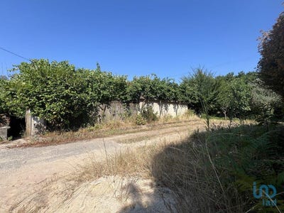 /international/pt/coimbra-lisbon-310101417127/?lang=it