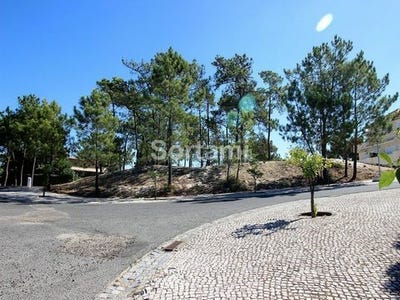 /international/pt/grandola-setubal-municipality-310105925818/