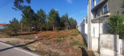 /international/pt/1-de-dezembro-moita-aveiro-310097211002/