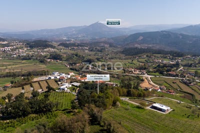 /international/pt/celorico-de-basto-braga-310106626609/