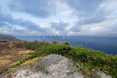 /international/pt/prazeres-madeira-310103277634/