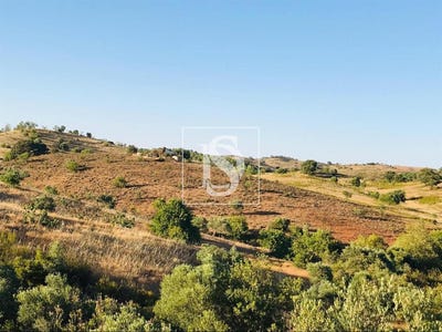 /international/pt/castro-marim-faro-310108087971/