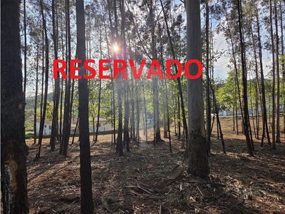 /international/pt/anais-viana-do-castelo-310108184630/