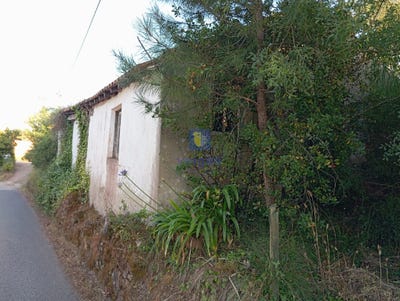 /international/pt/alvorninha-leiria-310100696927/