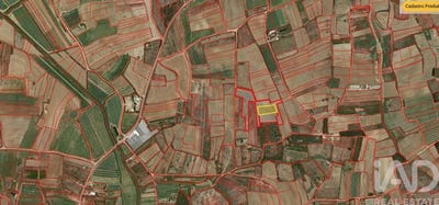 /international/pt/leiria-leiria-310101947903/