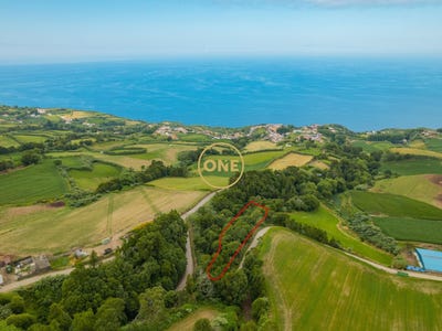 /international/pt/remedios-azores-310108156372/