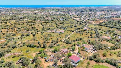 /international/pt/ferreiras-faro-310099411354/