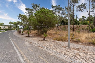 /international/pt/carvalhal-setubal-municipality-120092733821/