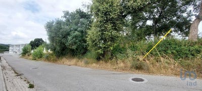 /international/pt/leiria-leiria-310100670113/