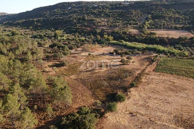 /international/pt/loule-faro-310102644751/
