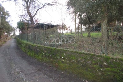 /international/pt/santo-tirso-braga-120060880083/