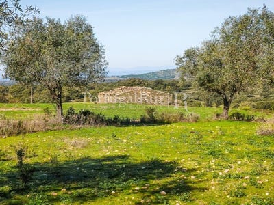 /international/pt/rosmaninhal-castelo-branco-310108650059/?lang=de