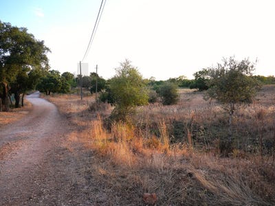 /international/pt/silves-faro-310109018027/?lang=de