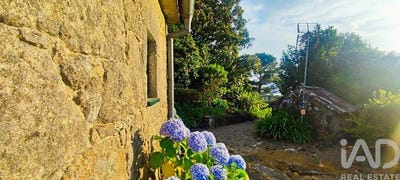 /international/pt/viana-do-castelo-viana-do-castelo-310109044921/