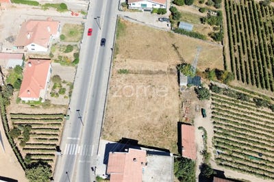/international/pt/alijo-vila-real-310104041123/