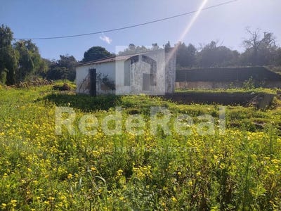 /international/pt/quarteira-lisbon-310098391208/