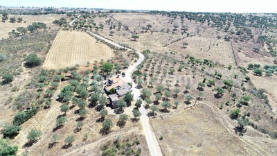 /international/pt/almodovar-beja-310107213978/