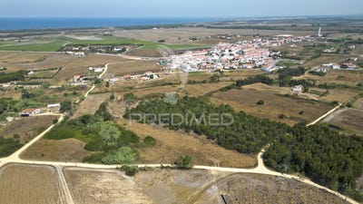/international/pt/longueira-almograve-odemira-beja-310106428986/