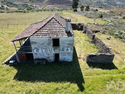 /international/pt/braganca-braganca-310107089245/