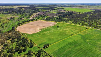 /international/pt/estrada-malhada-de-meias-alcochete-portugal-alcochete-setubal-municipality-310107358637/