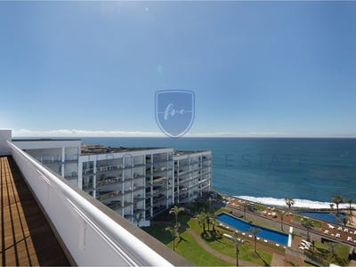 /international/pt/sao-martinho-madeira-310097953038/