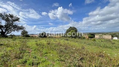 /international/pt/silves-faro-120091386405/