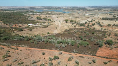 /international/pt/ourique-ourique-beja-310106571679/