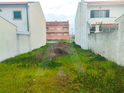 /international/pt/sao-jacinto-aveiro-310100274106/
