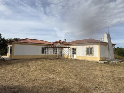 /international/pt/sines-sines-setubal-municipality-310108001727/