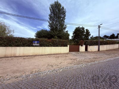 /international/pt/grijo-porto-310108763986/