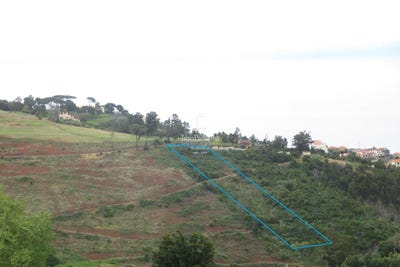 /international/pt/santa-maria-maior-funchal-madeira-310100715513/
