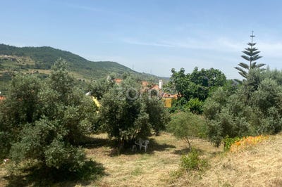 /international/pt/vila-franca-de-xira-lisbon-310100661948/