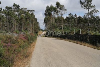 /international/pt/barcelos-braga-310100227552/